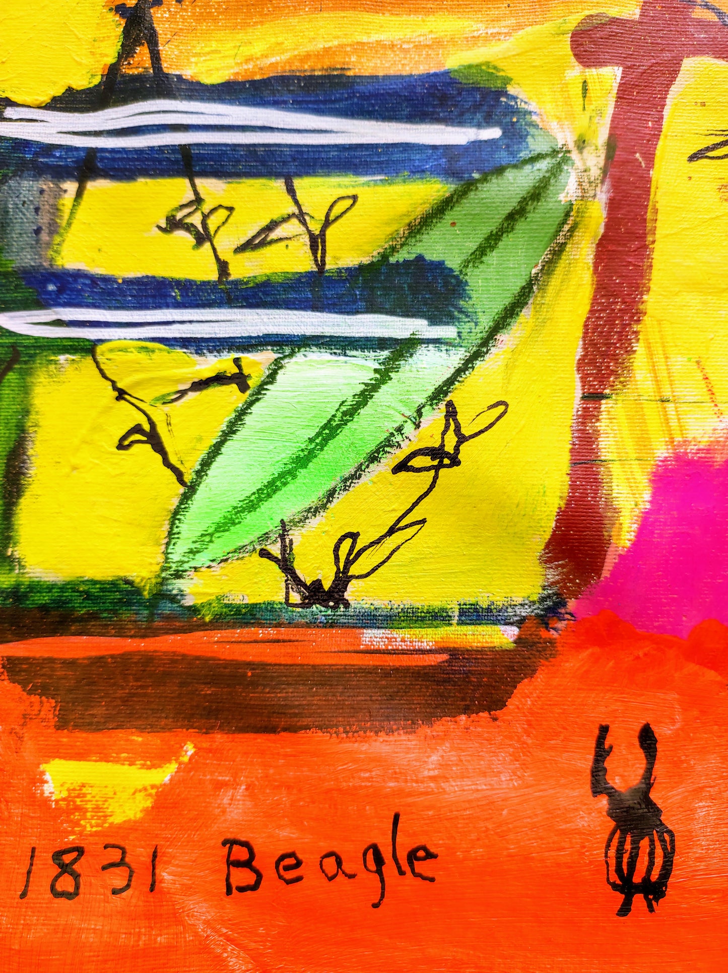 El viaje de Darwin II