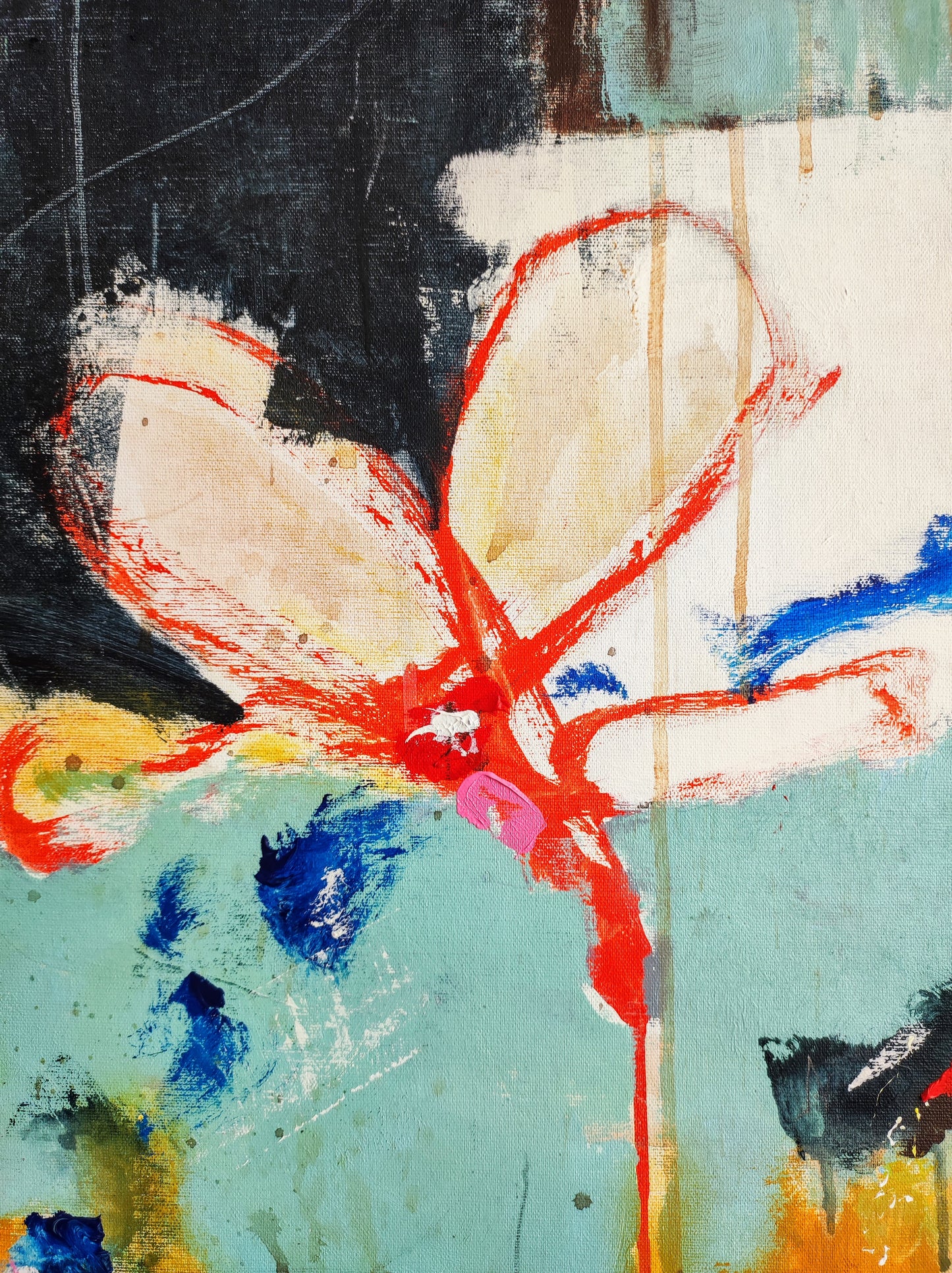 The story of a flower