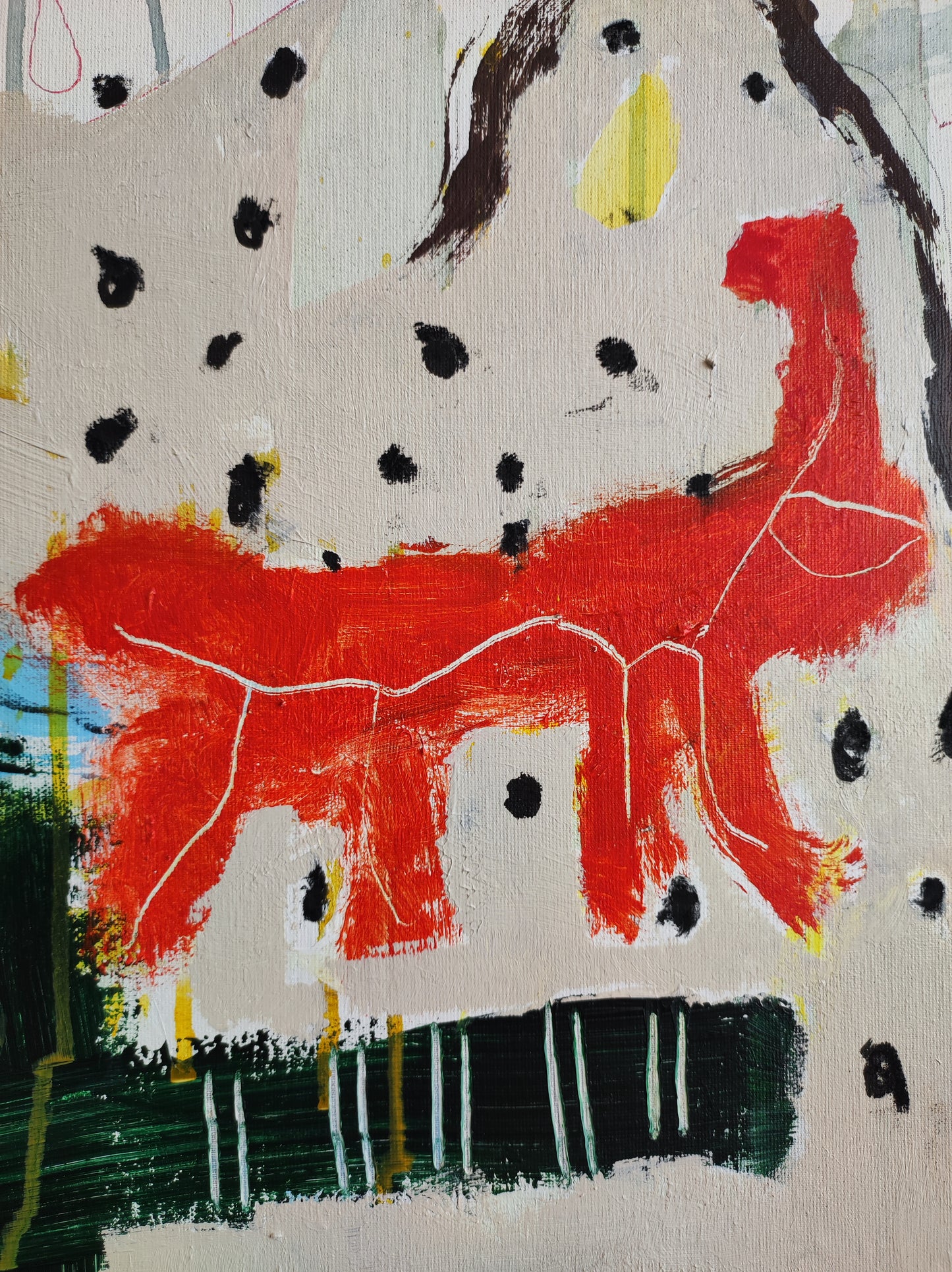 Sin miedo en la mirada