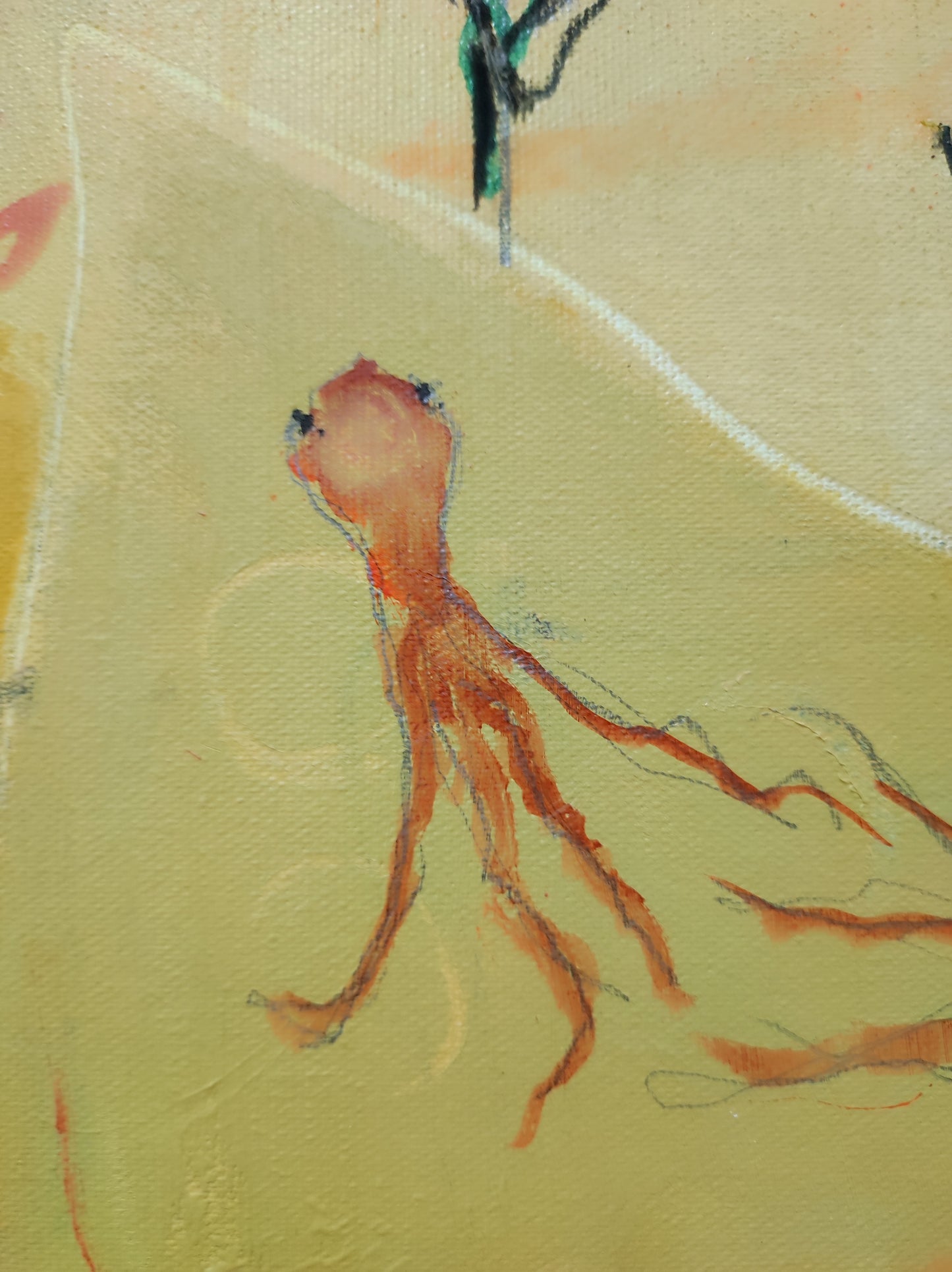 El increíble hombre pez