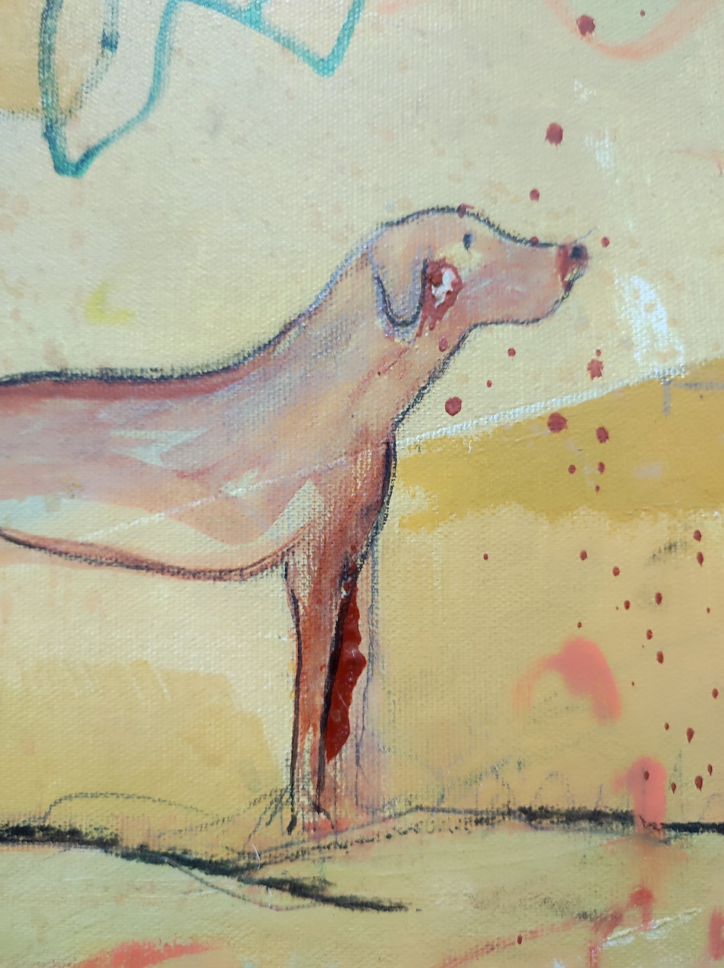 El increíble hombre pez