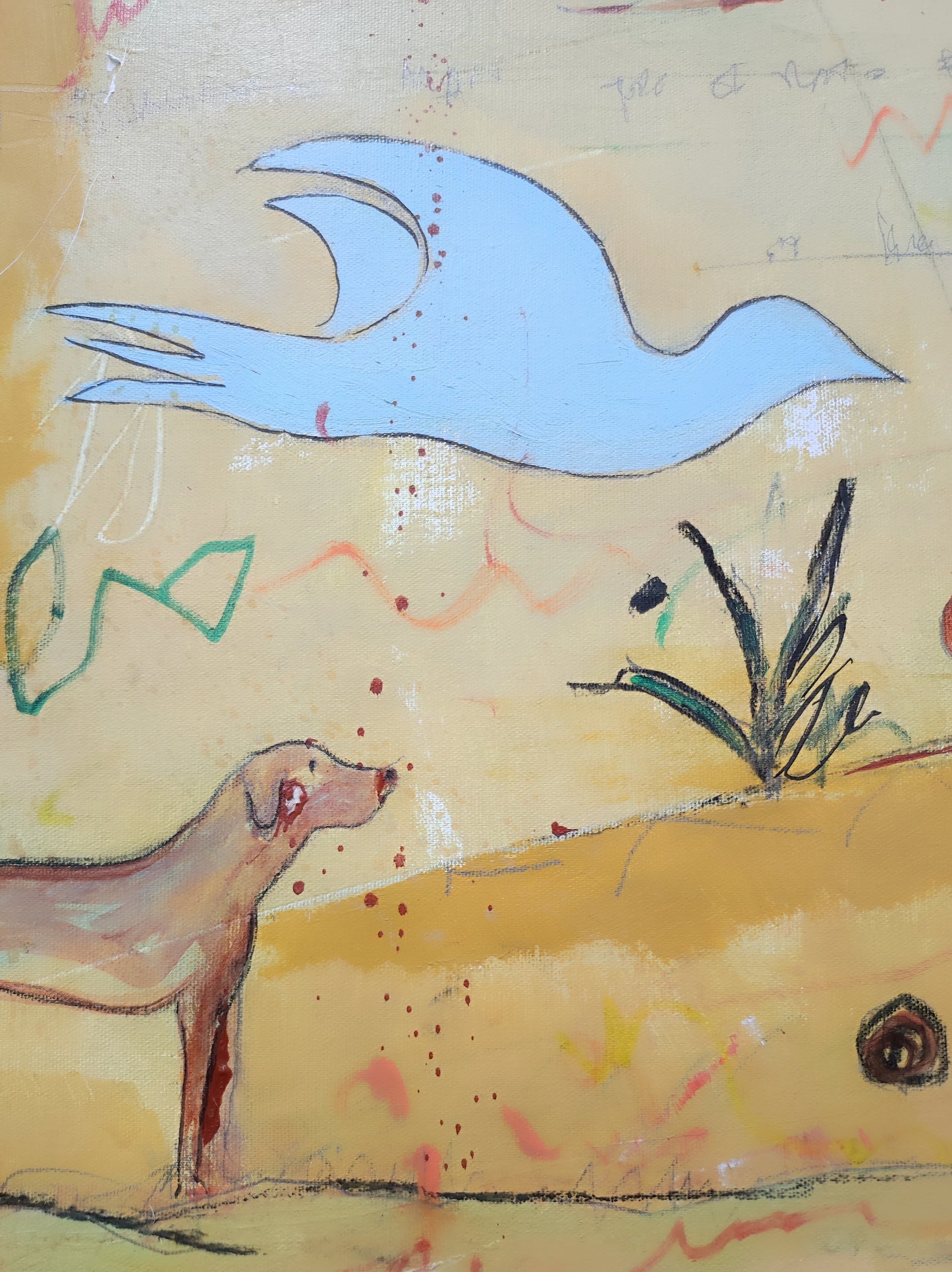 El increíble hombre pez