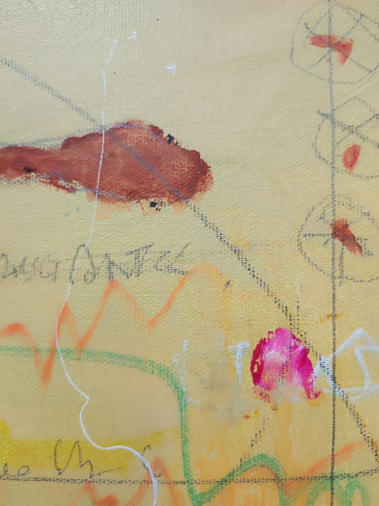 El increíble hombre pez