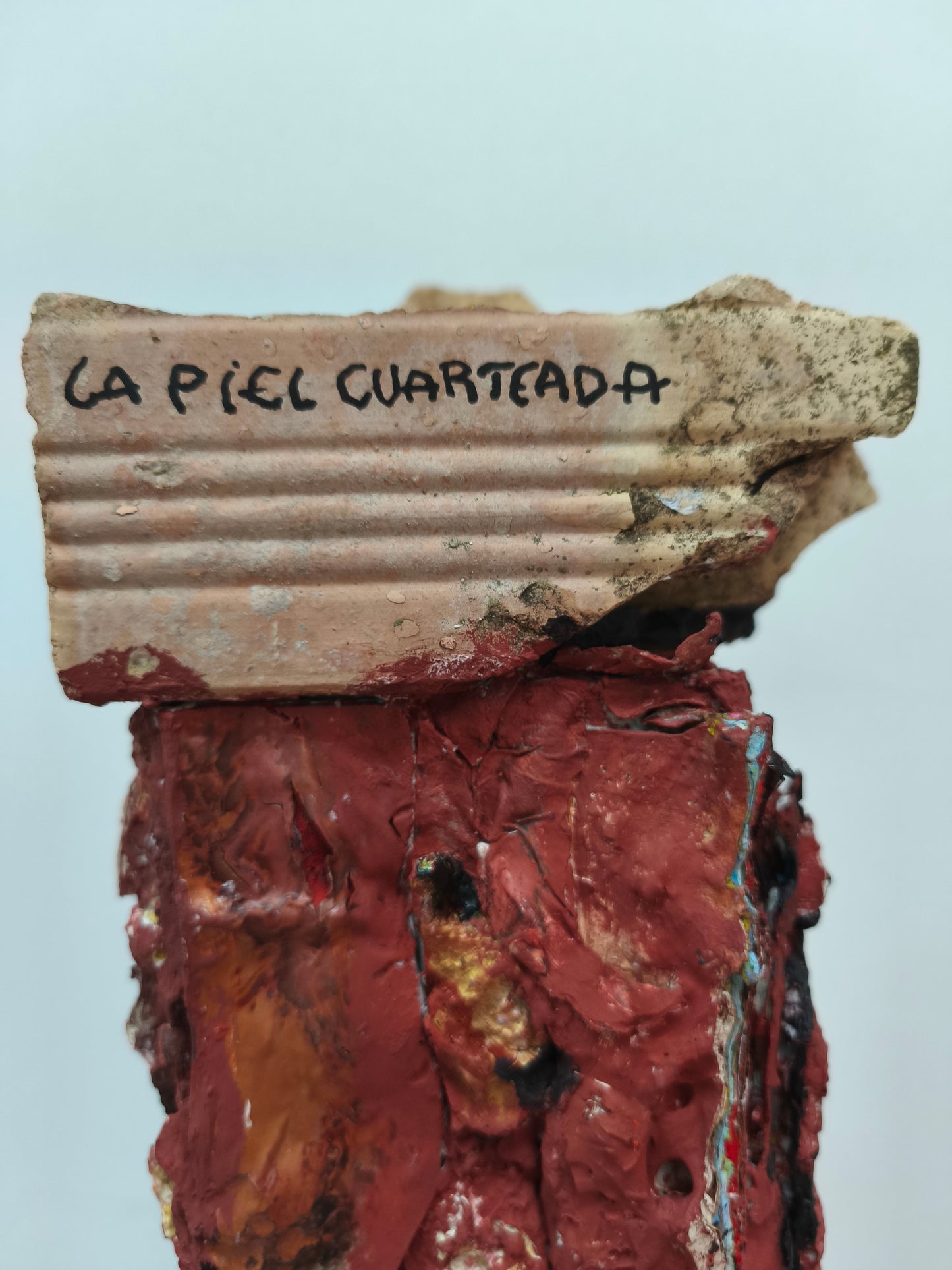 La piel cuarteada - escultura