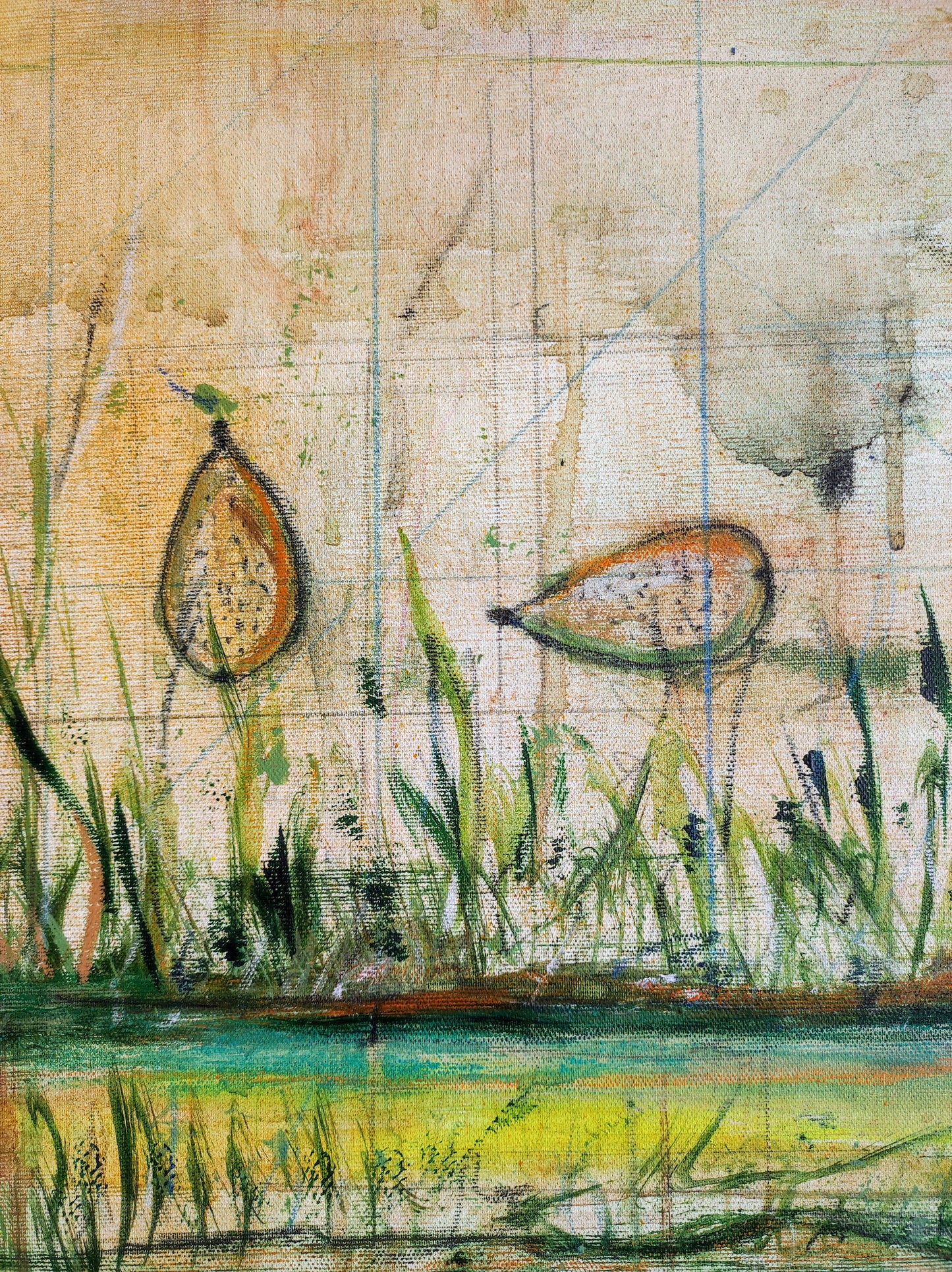 El jardín de Petracos