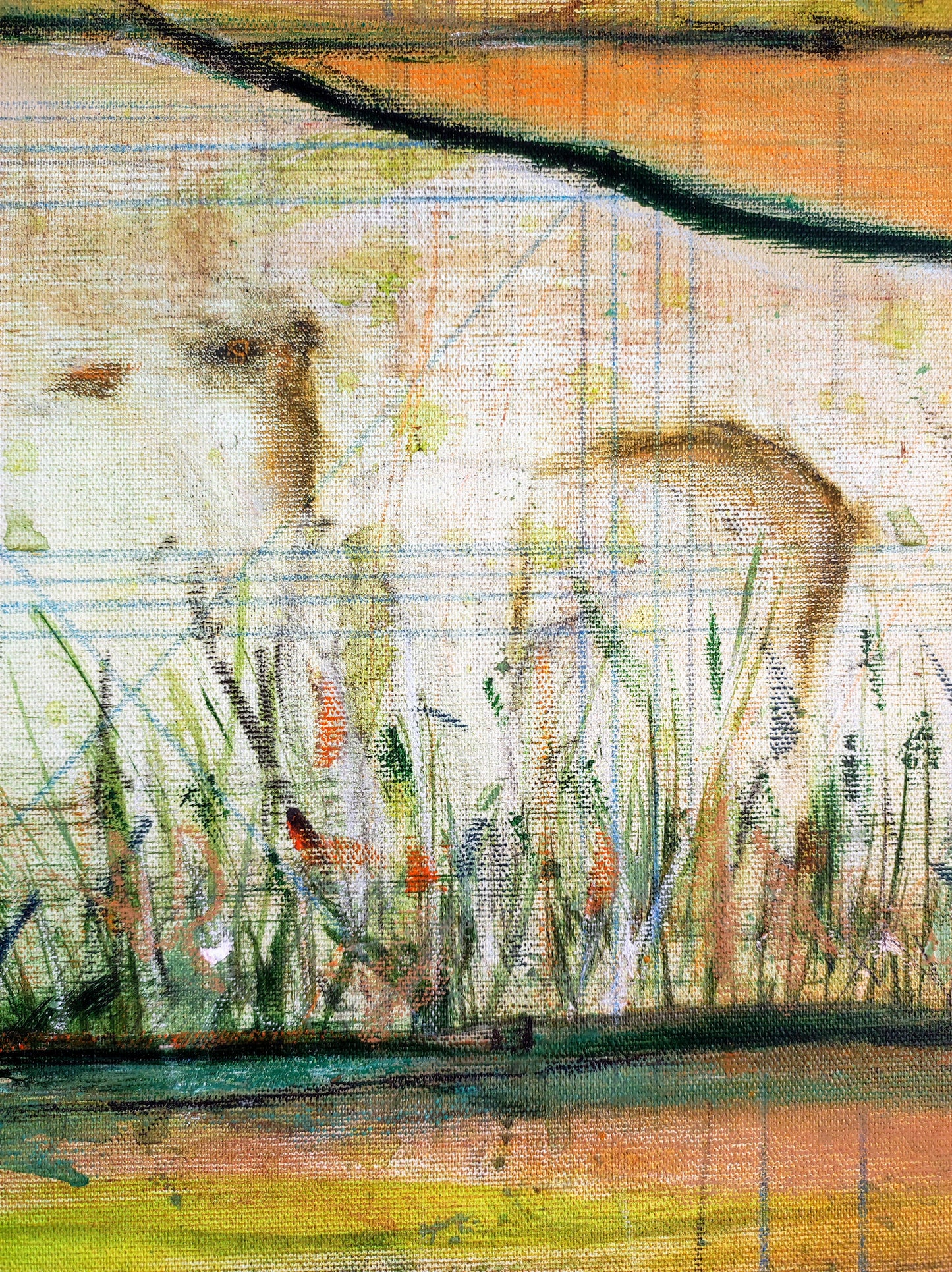 El jardín de Petracos