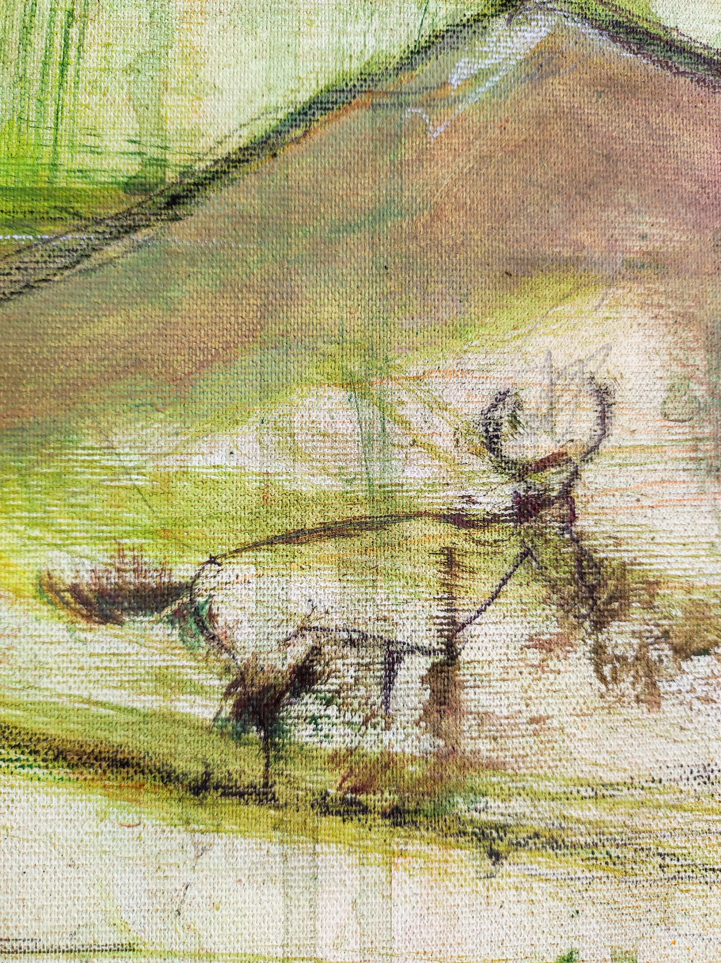 El jardín de Petracos