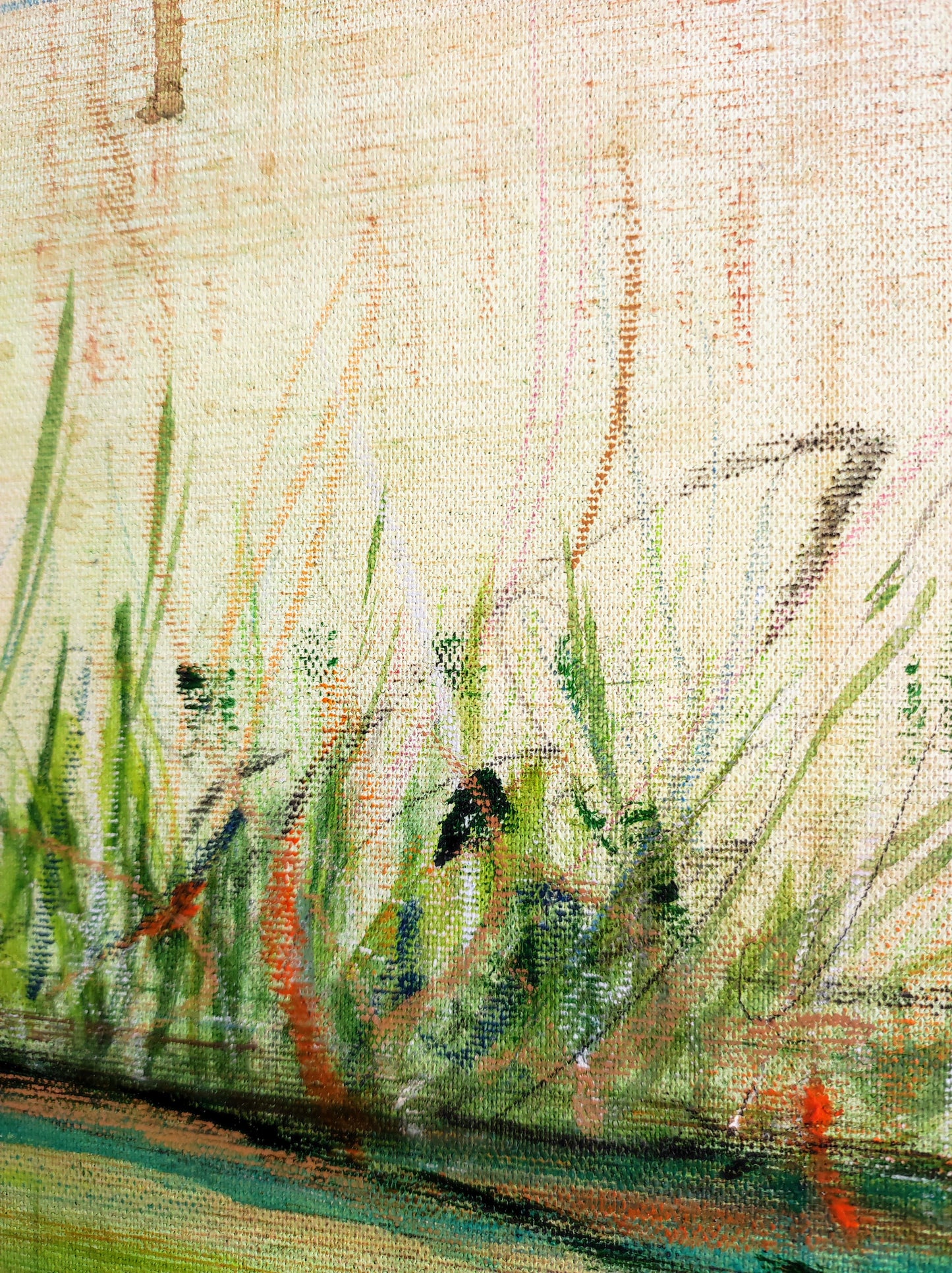 El jardín de Petracos