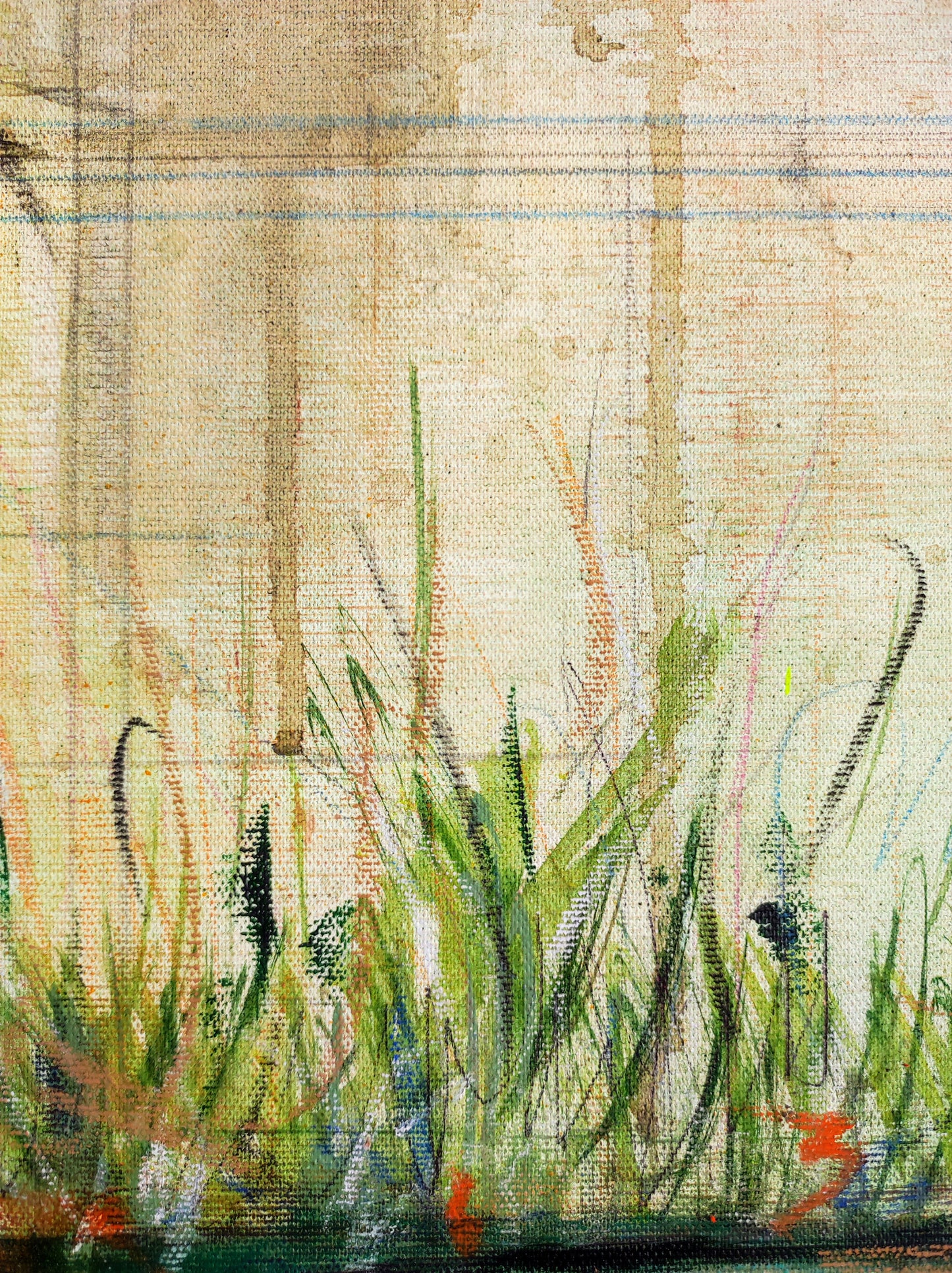 El jardín de Petracos