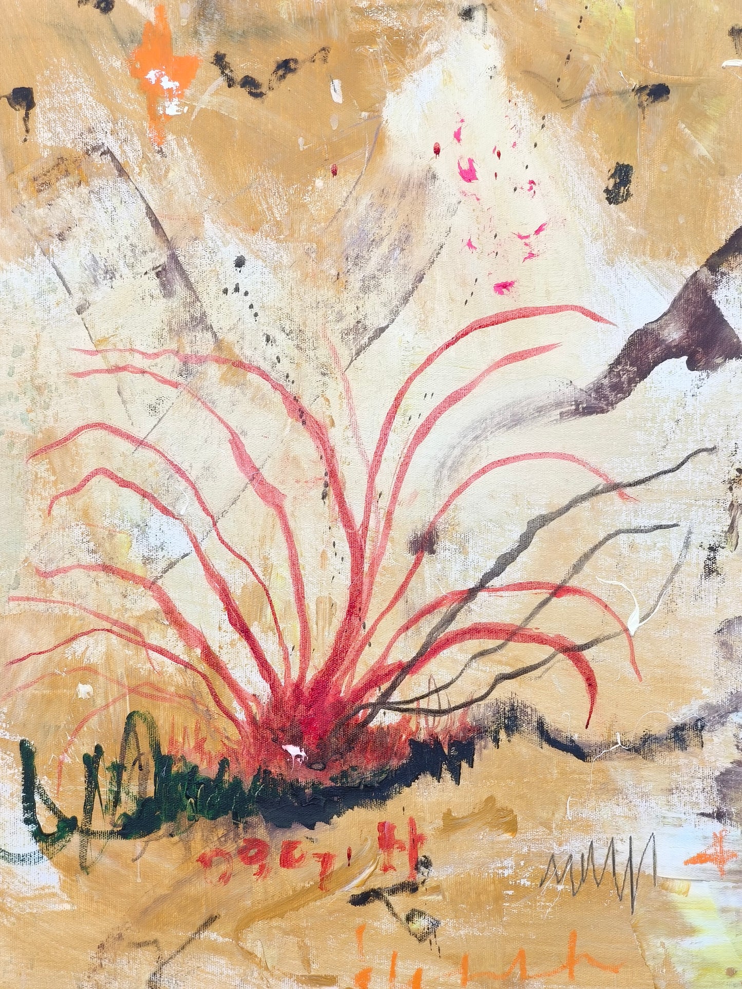 The beat of my heart