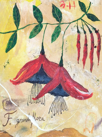 The beat of my heart