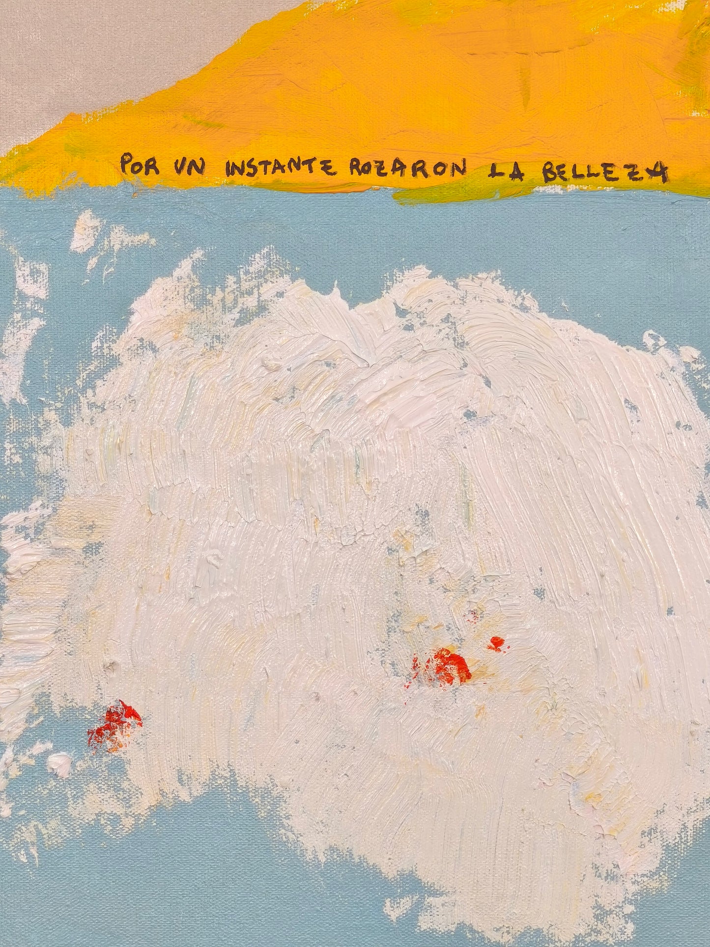 Por un instante rozaron la belleza