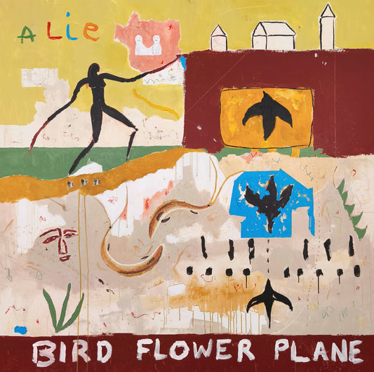 Bird, flower & plane